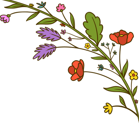 elegant floral branch with colorful flowers on transparent background - Download Free Stock Videos Pikwizard.com