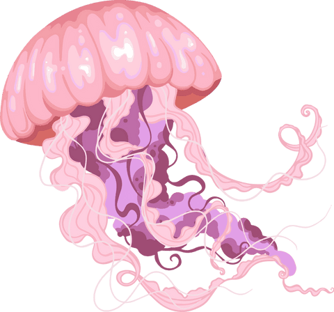 Stylized Pink Jellyfish with Floating Tentacles on Transparent - Download Free Stock Videos Pikwizard.com
