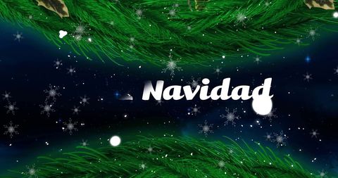 Festive Navidad Text with Christmas Tree Branches
