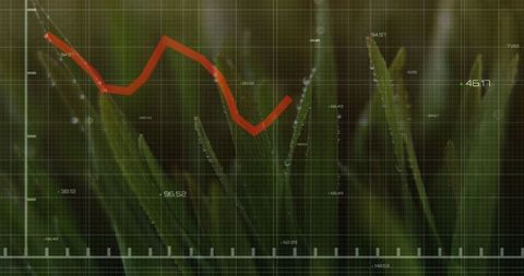 Data Analytics Overlay Nature Scene with Dewy Grass Dawn