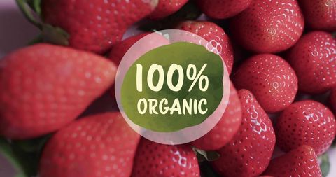 Organic strawberries ensuring freshness and quality