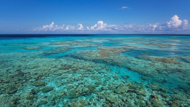 Revealing aerial reef stretching toward horizon with turquoise lagoon and cumulus cloudbank