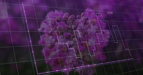 Purple flower cluster glowing behind data grid with stepped chart overlay for tech visuals