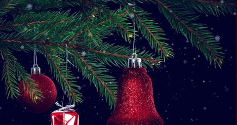 Festive Tree Branch with Glittering Red Decorations