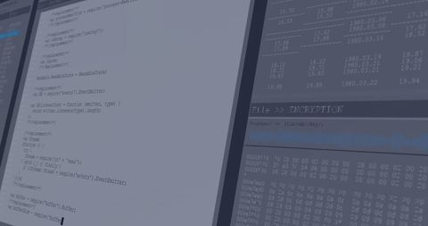Digital Data Processing Interface with Code and Encryption - Download Free Stock Images Pikwizard.com