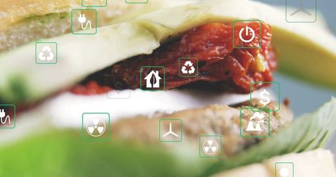 Eco-friendly layered sandwich with sustainable innovation elements