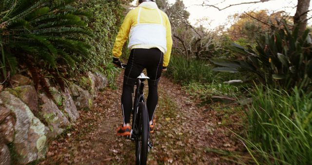 Cyclist Riding on Forest Trail in Autumn - Download Free Stock Images Pikwizard.com