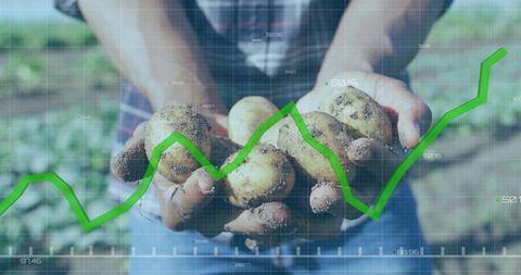 Digital financial data overlay on agriculture: man holding potatoes