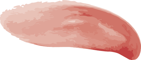 Pink paint smudge on transparent background vector illustration