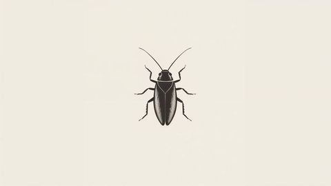 Minimalist Black Cockroach Silhouette on Beige Background