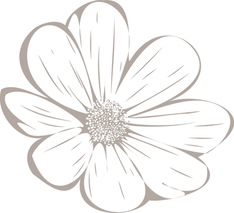 Transparent stylized line art flower illustration