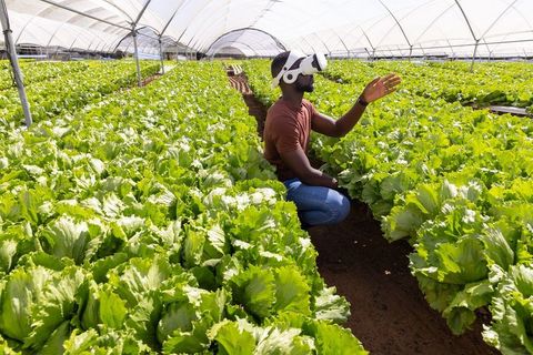 African american farmer using vr technology in greenhouse