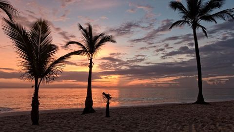 Scenic Tropical Beach Sunset with Palm Silhouettes