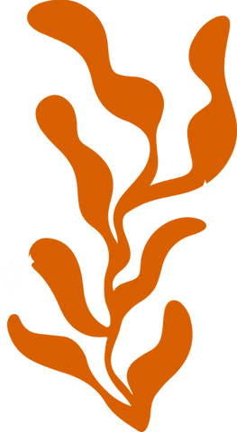 Transparent Minimalist Orange Abstract Design with Fluid Shapes - Download Free Stock Videos Pikwizard.com