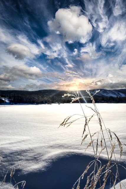 Serene Winter Landscape with Frosty Grass Under Dramatic Sky - Download Free Stock Photos Pikwizard.com