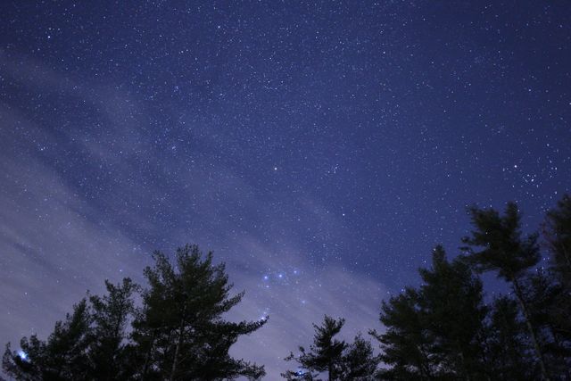 This photo captures a serene starry night sky above a forest with trees silhouetted against the dark blue sky. Ideal for use in projects related to nature, astronomy, and tranquility. Perfect for backgrounds, website headers, and educational content on stargazing and natural beauty.