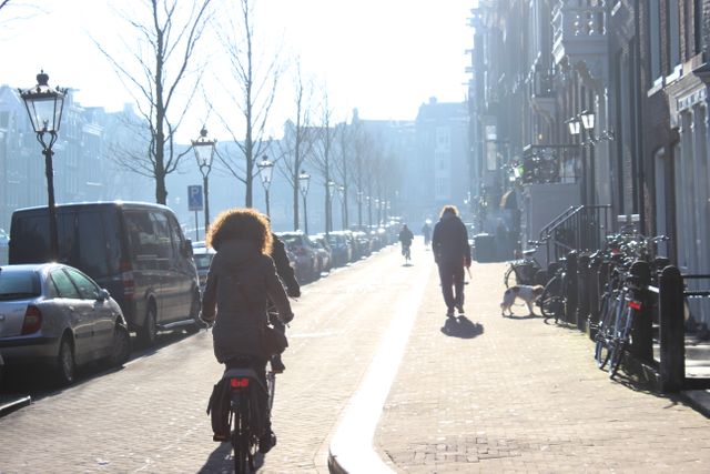 Morning commute scene with people riding bicycles on a European city street. Sunlight creates a warm atmosphere with buildings and parked cars lining the street. Great for urban lifestyle, transportation, and travel concepts.