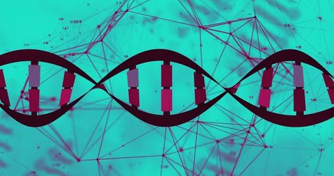 Digital representation of dna double helix in biotech network