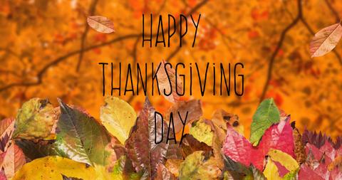 Thanksgiving Day Greeting with Autumn Leaves and Warm Colors - Download Free Stock Images Pikwizard.com