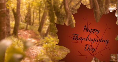 Thanksgiving Leaf Message in Autumn Forest - Download Free Stock Images Pikwizard.com