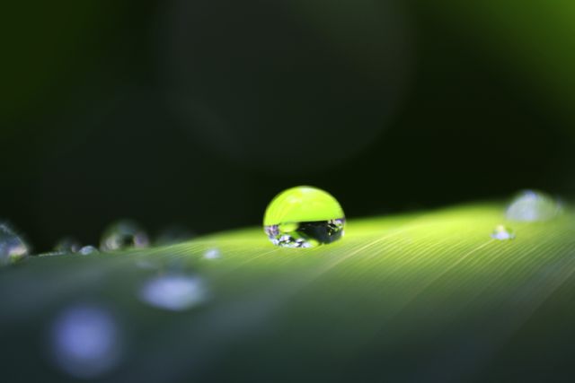 Macro close-up of a dew drop balancing on a green leaf blade. Captivating detail and reflection create an impression of purity and freshness. Ideal for nature-related themes, environmental campaigns, or product advertisements requiring an element of natural beauty and freshness.