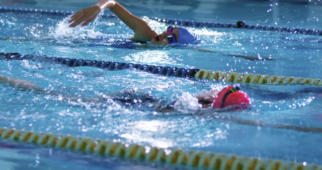 Swimmers Training in Indoor Pool with Lane Markers - Download Free Stock Images Pikwizard.com