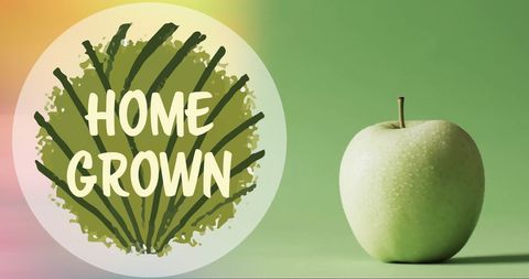 Organic Freshness: Homegrown Green Apple - Download Free Stock Images Pikwizard.com