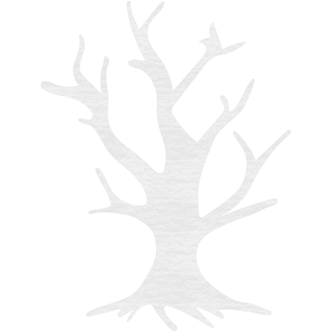 White Tree Silhouette on Transparent Background Illustration