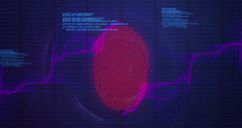 Biometric Fingerprint Security with Digital Data Interface
