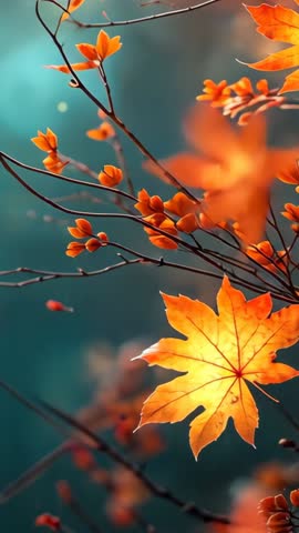 Swaying Maple Leaf and Budding Branch in Autumn Breeze | Vertical Teal Bokeh Cinematic Loop