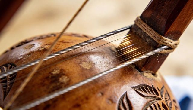 Macro view showcasing carved gourd resonator with leaf motifs, metal strings and twine