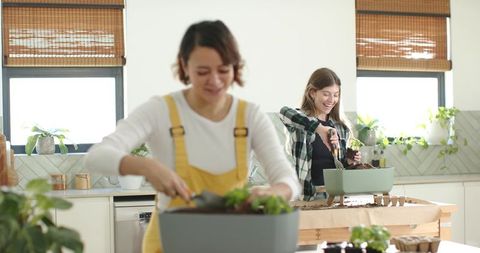 Multicultural women potting plants in bright kitchen — urban indoor gardening, plant care