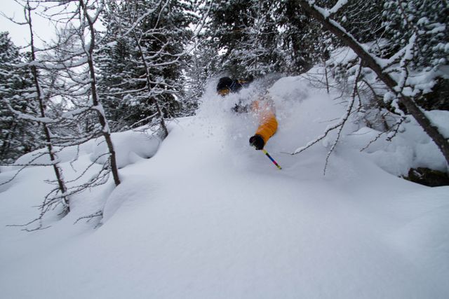 Skier navigating through deep powder snow in forest - Download Free Stock Photos Pikwizard.com