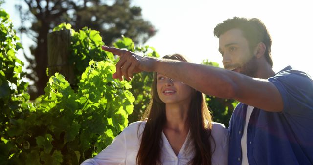 Couple Enjoying Vineyard Tour on Sunny Day - Download Free Stock Images Pikwizard.com