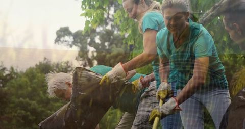 Volunteers Cleaning Up Forest Environment Together