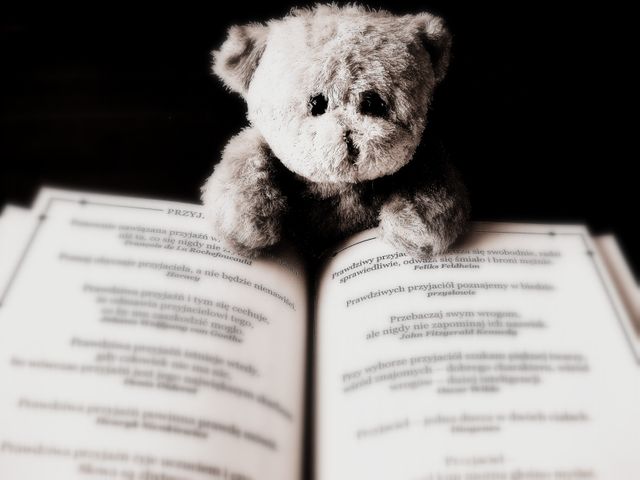 Stuffed Teddy Bear with Open Book, Close-Up - Download Free Stock Photos Pikwizard.com