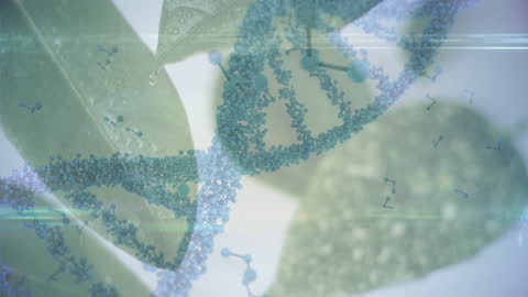 DNA and Molecular Structures with Leafs Background Vision