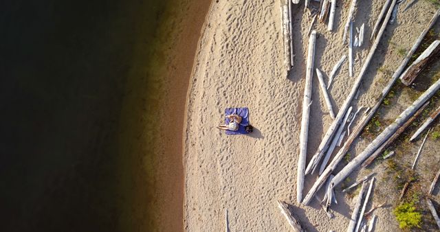 Couple Relaxing on Sandy Beach with Driftwood - Download Free Stock Images Pikwizard.com