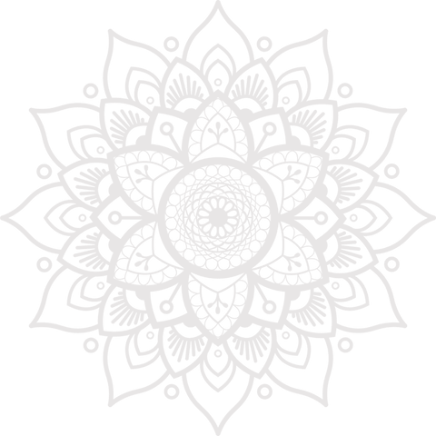 intricate mandala with concentric petals on transparent background - Download Free Stock Videos Pikwizard.com