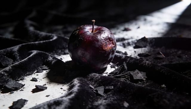 Plum resting on crushed black velvet with dramatic light and charcoal flakes