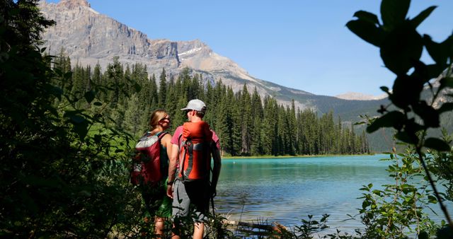 Hikers Exploring Scenic Mountain Lake with Pine Forest - Download Free Stock Images Pikwizard.com