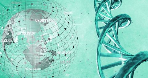 Rotating wireframe globe and dna helix visualizing global genomics and data network