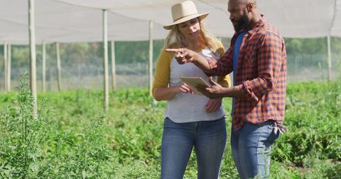 Farmers Discussing Crop Plans with Tablet Technology - Download Free Stock Images Pikwizard.com