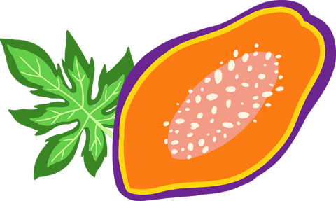 vibrant papaya illustration with leaf on transparent background - Download Free Stock Videos Pikwizard.com