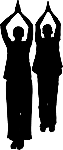 Silhouette of yoga couple practicing warrior pose on transparent background