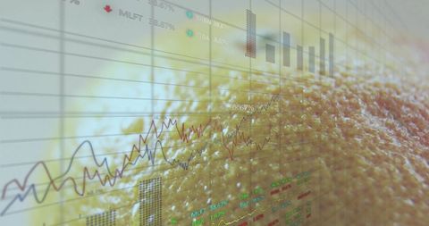 Finance Data Visualization with Citrus Texture and Analytics Overlay