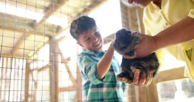 A young boy enthusiastically petting a rabbit being held by an adult in a farm setting. The boy is smiling and appears to be enjoying the interaction. This image could be used for topics related to children, farm visits, pet care, and family activities.