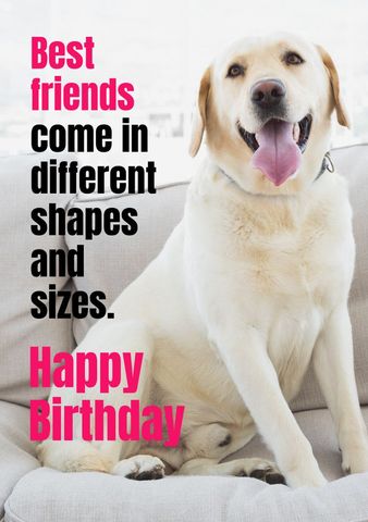 Labrador Retriever Sitting Happily With Birthday Message - Download Free Stock Templates Pikwizard.com