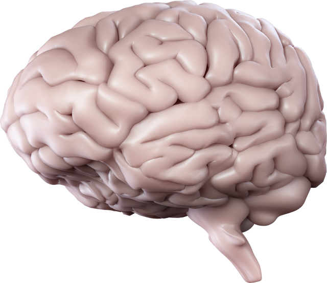 Transparent 3D Human Brain Concept for Psychology and Mental Health Awareness - Download Free Stock Videos Pikwizard.com