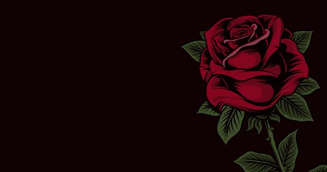 Single Red Rose with Copy Space on Black Background - Download Free Stock Images Pikwizard.com